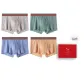 Light Gray-Gray Green-Ice Blue-Apricot Yellow