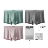 Chestnut Gray+Purple+Ripple Green