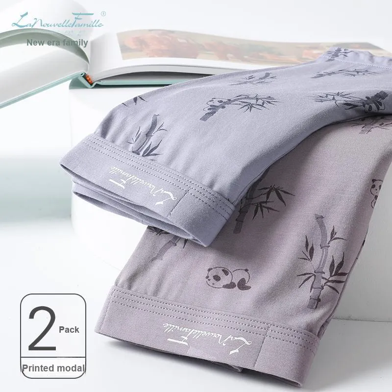 The New Age Family Underpants Men's 2 Pack-1