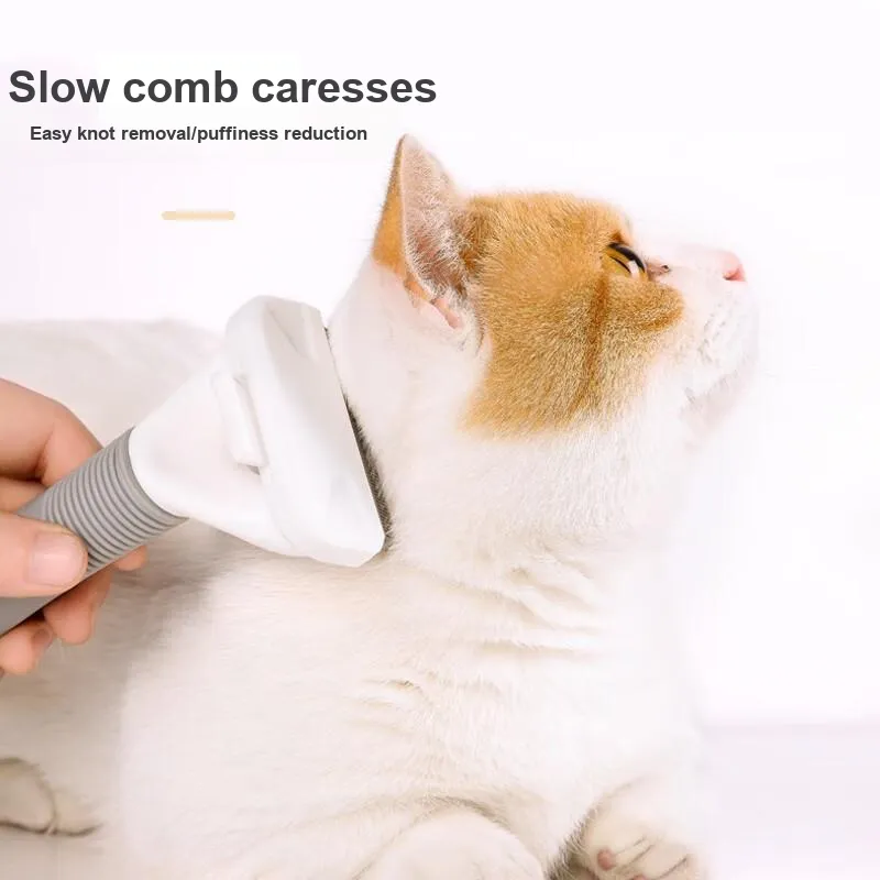 Pampering Cat And Dog Combs & Flea Combs-4