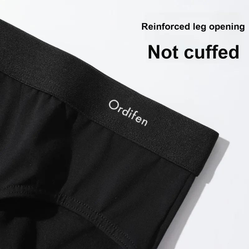 Ordifen Underpants Men's 4 Pack-4