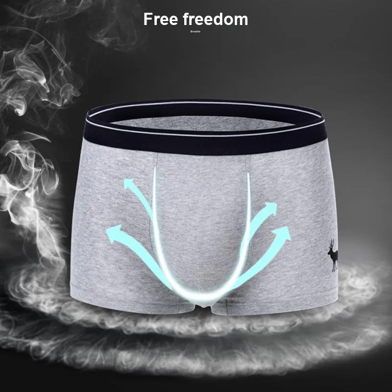 Yalu Underpants Men's Combo Set-3