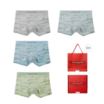 Maiden House Underwear Gift Box Men's 4 Pack