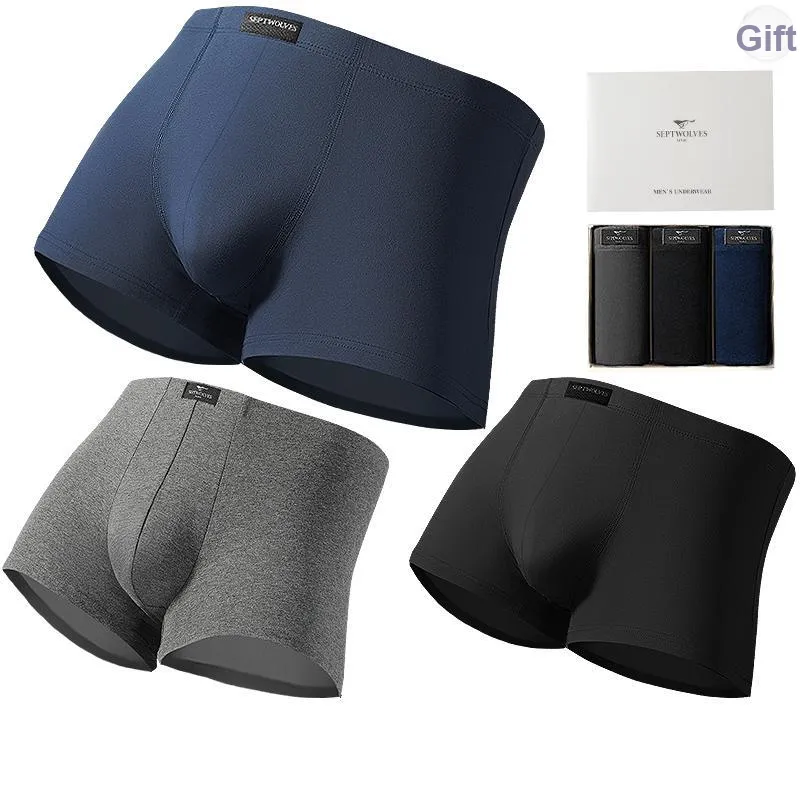 SEPTWOLVES Underwear Gift Box Men's-10