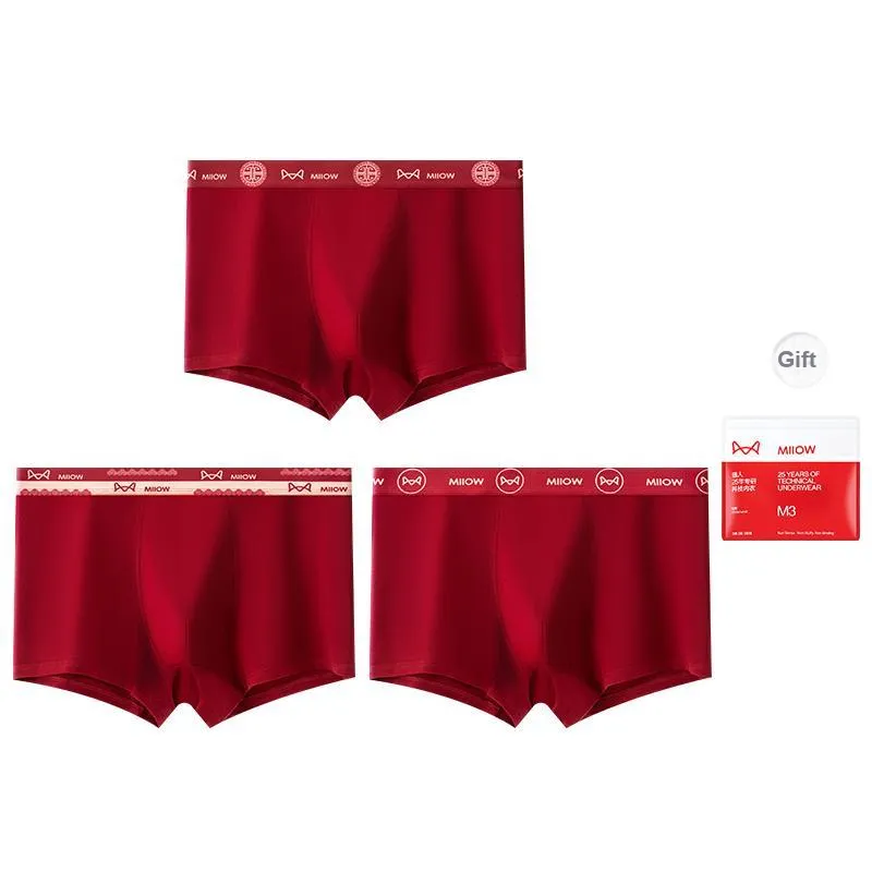 MIIOW Underpants Men's Shopping Bag 3 Pack-6