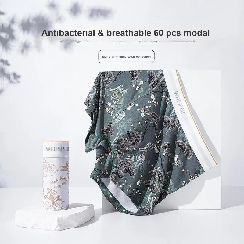 DUINIDESIYU Underpants Men's Combo Set-3