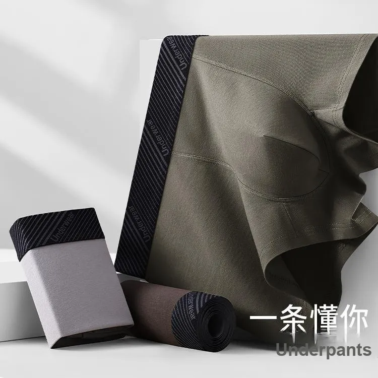 LUYOUYE Underpants Men's 4 Pack-21