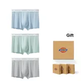 Light Blue/Gray Green/Gray[3 Pack]