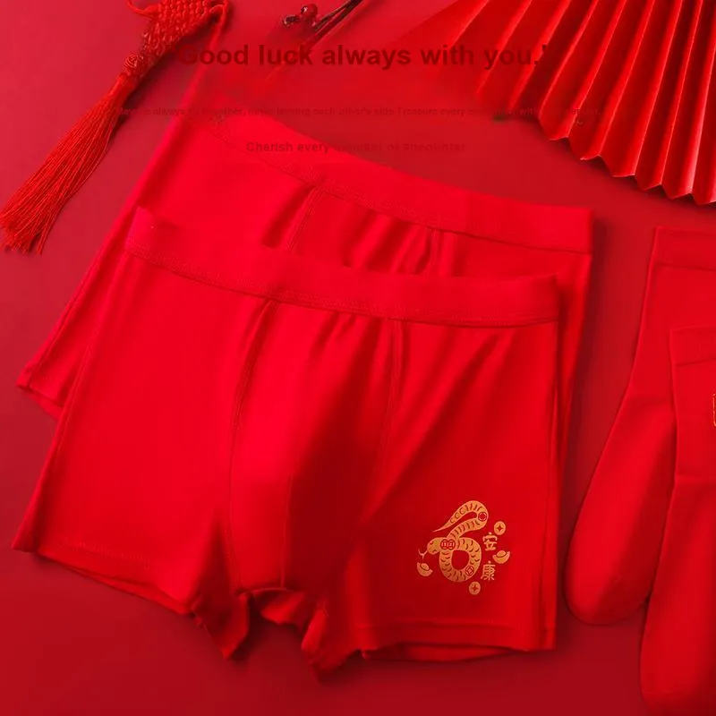 Lanza Underpants Men's Combo Set-7