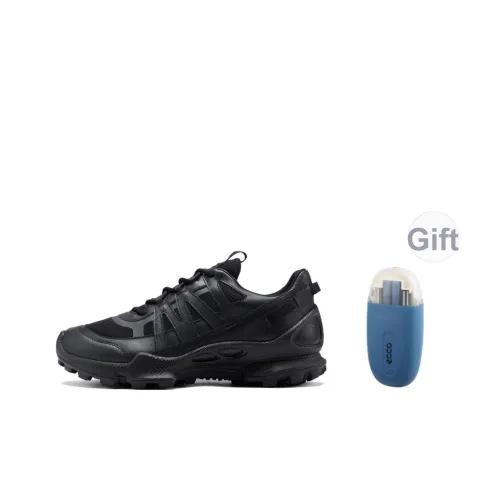 Ecco Striding C Устойчивый к истиранию Низкий Топ Casual Мужской