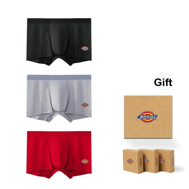Dickies Underpants Men's Box 3 Pack-10
