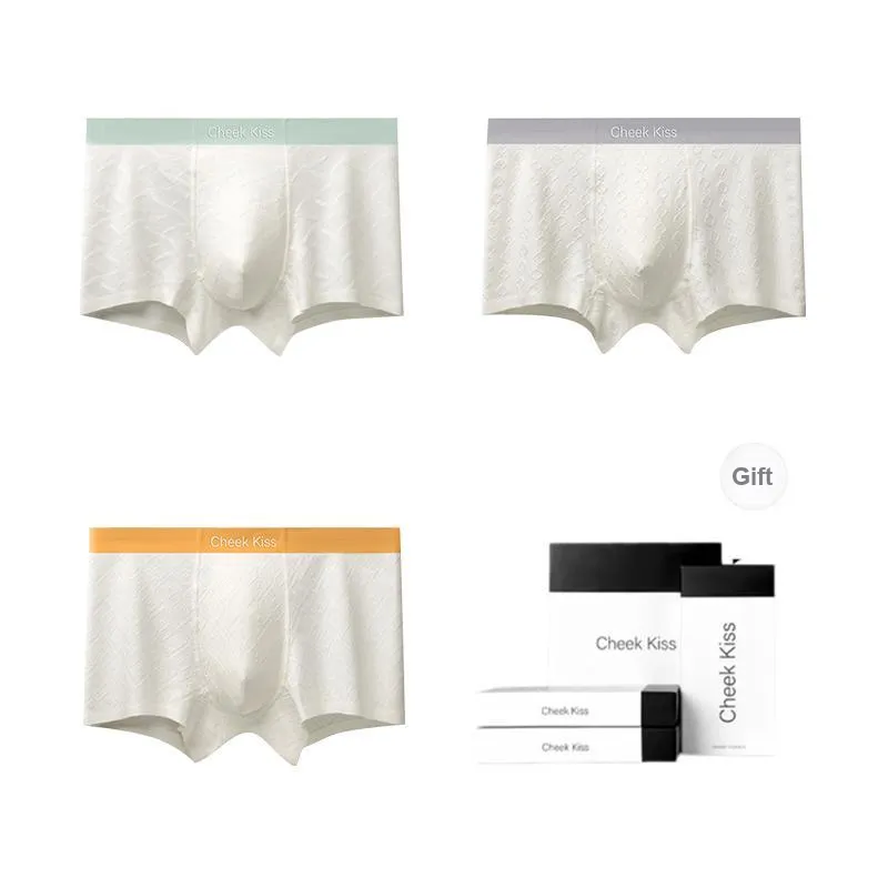 Cheekkiss Underpants Men's Box 3 Pack-5