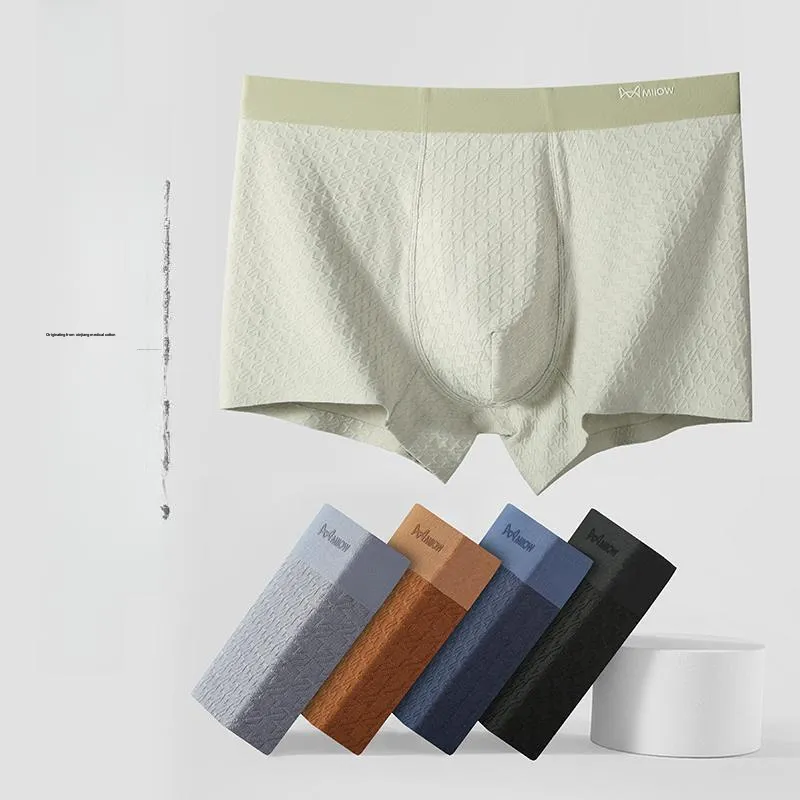 MIIOW Underpants Men's Box 3 Pack-31