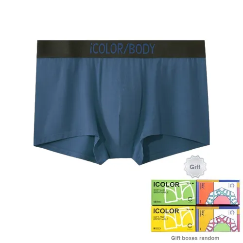 Icolor Men Underpants