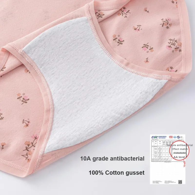 Pretty Lady Underpants Women's 3 Pack-2