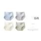 4D Champagne Skin+Misty Green+Sky Blue+Soft Purple