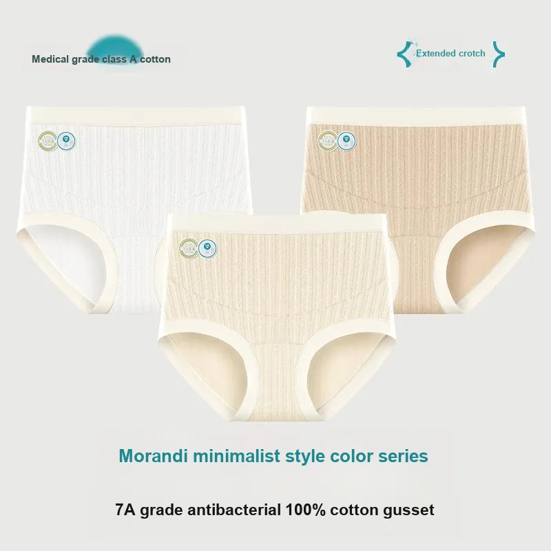 Master Underpants Women's 2 Pack-2