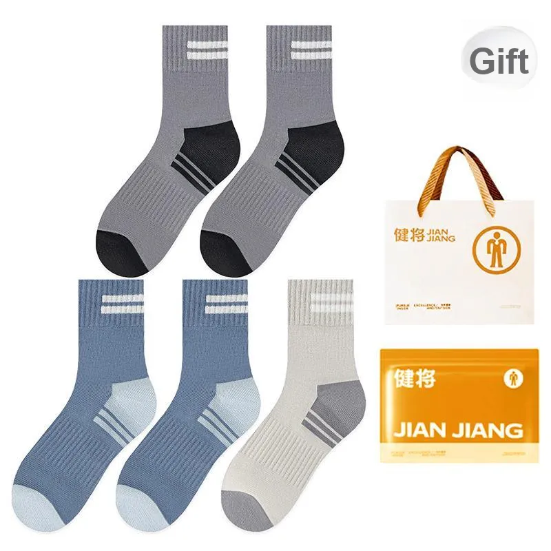 Master Mid Calf Socks Men's Box 5 Pack-10