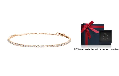 Daniel Wellington DW Classic Alloy Bracelets Unisex Rose Gold