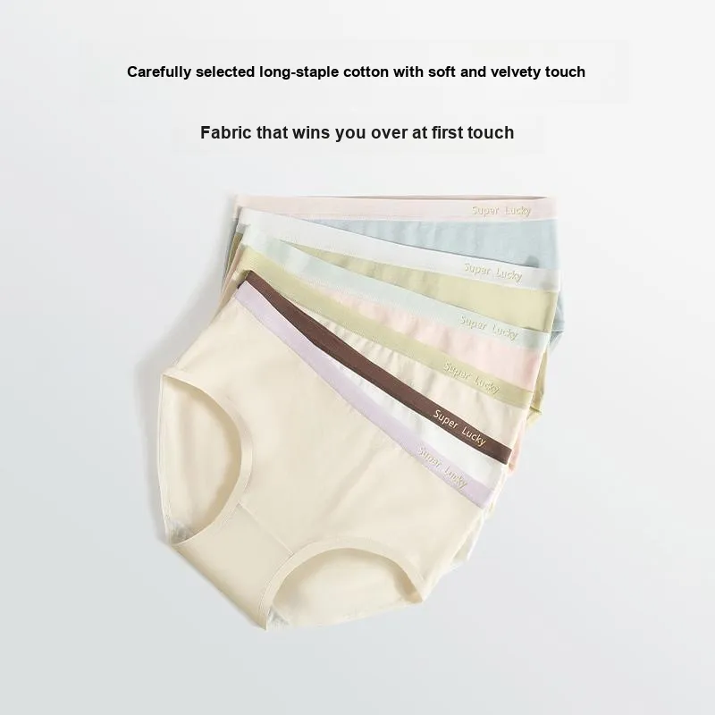 Flowers In Water Underpants Women's 5 Pack-5