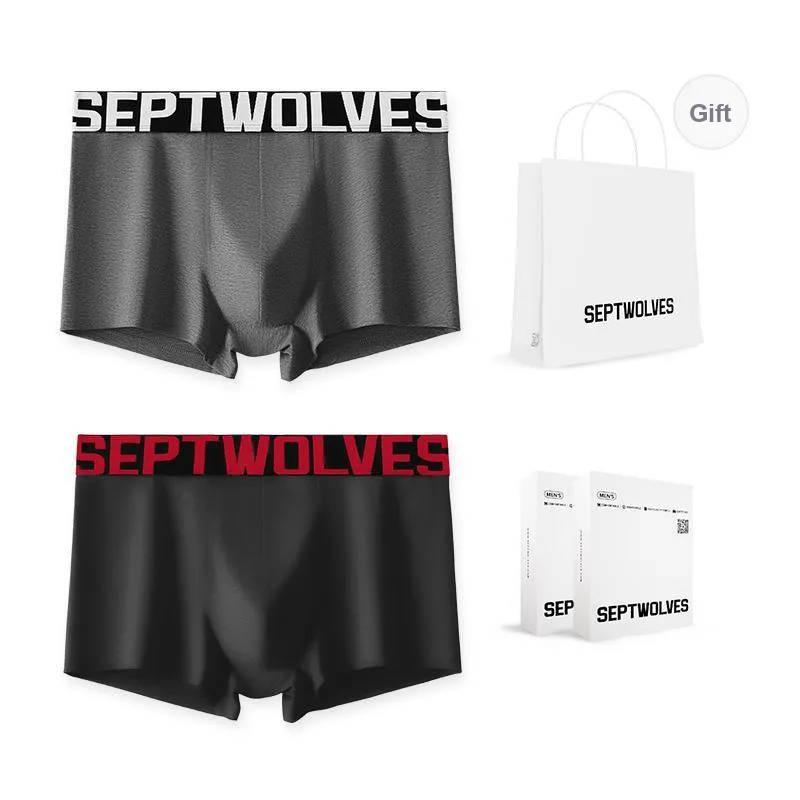SEPTWOLVES Panty Gift Box Men's 2 Pack-10
