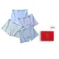 Light Blue-Light Gray Pink-Light Green-Light Gray
