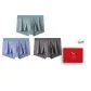 Gray Green-Ice Blue-Carbon Gray
