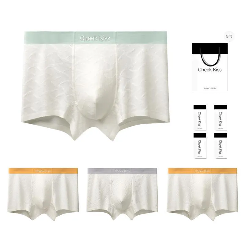 Cheekkiss Underpants Men's Box 4 Pack-10