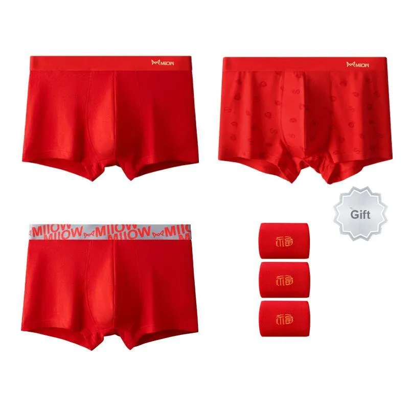 MIIOW Men Underpants-4
