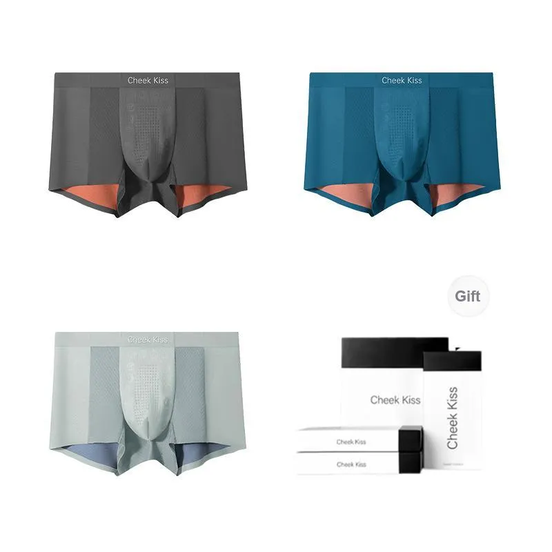 Cheekkiss Underwear Gift Boxes Men's 3 Pack-17
