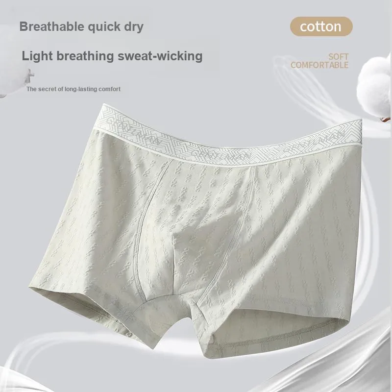 PLANDOO Underpants Men's 2 Pack-8