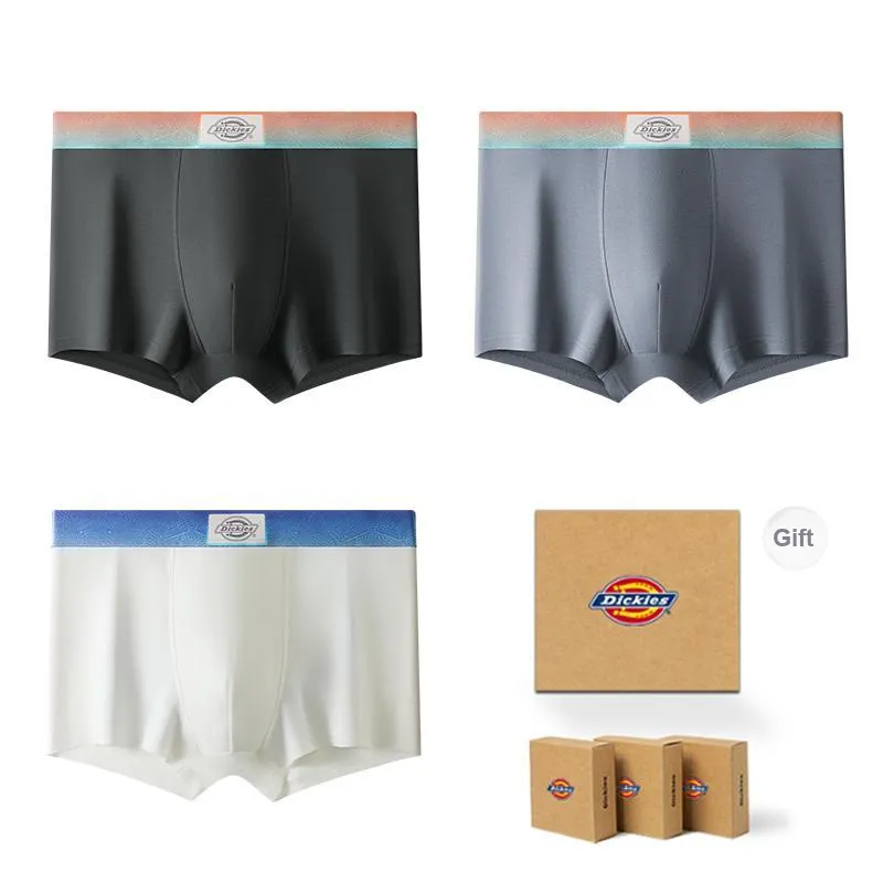 Dickies Underpants Men's Gift Box Combination-20