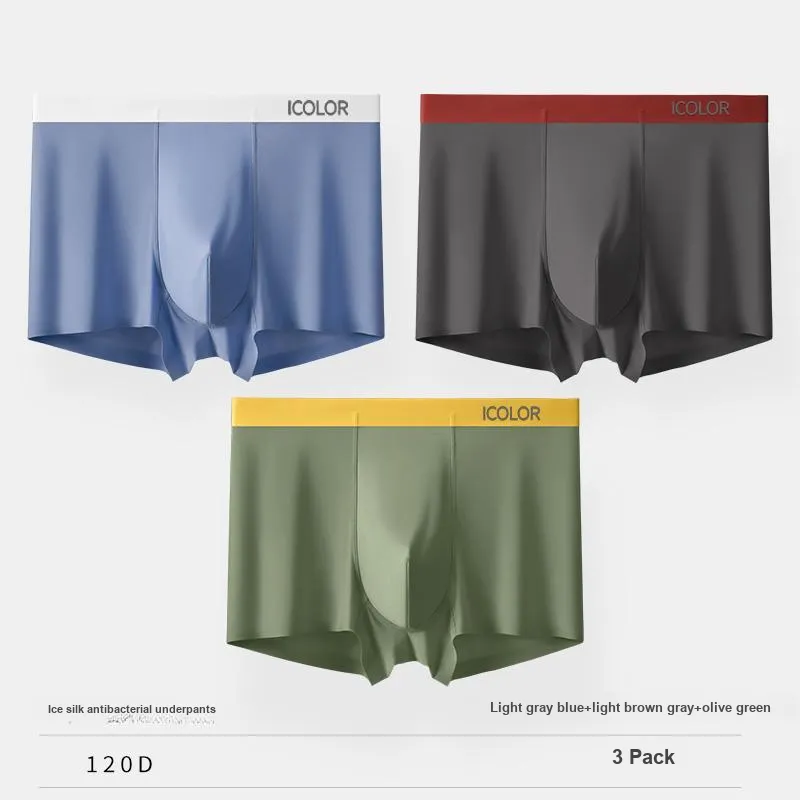 Icolor Men Underpants-23