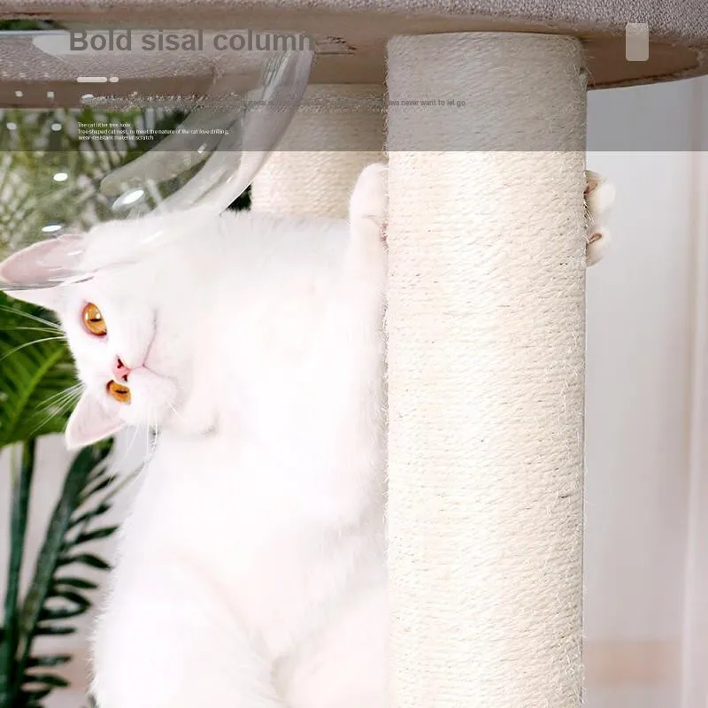 Pampering Pet Toys-5