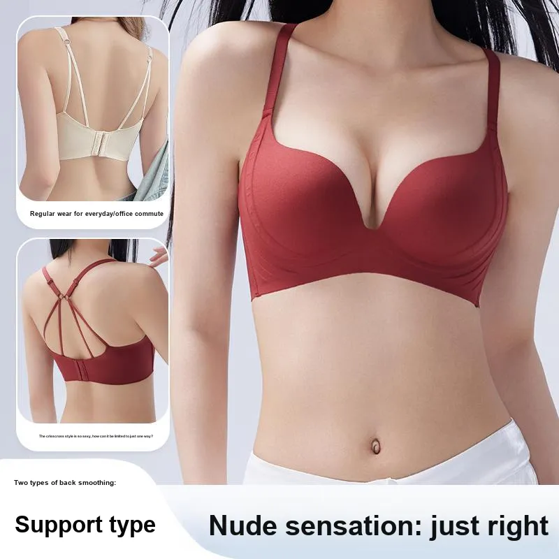 David Women's Bras-18