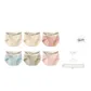 6D Champagne Skin+Champagne Skin+Pastel Pink+Sky Blue+Misty Green+Oil Paint Pink