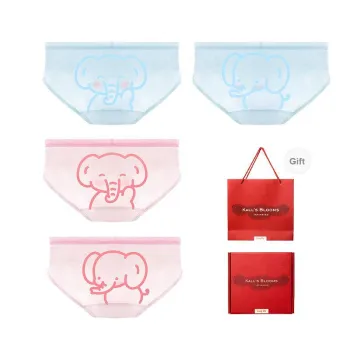 Maiden House Underwear Gift Box Women's 4 Pack