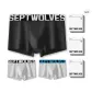 Box 3 Pack (White+White Blue+Black White)