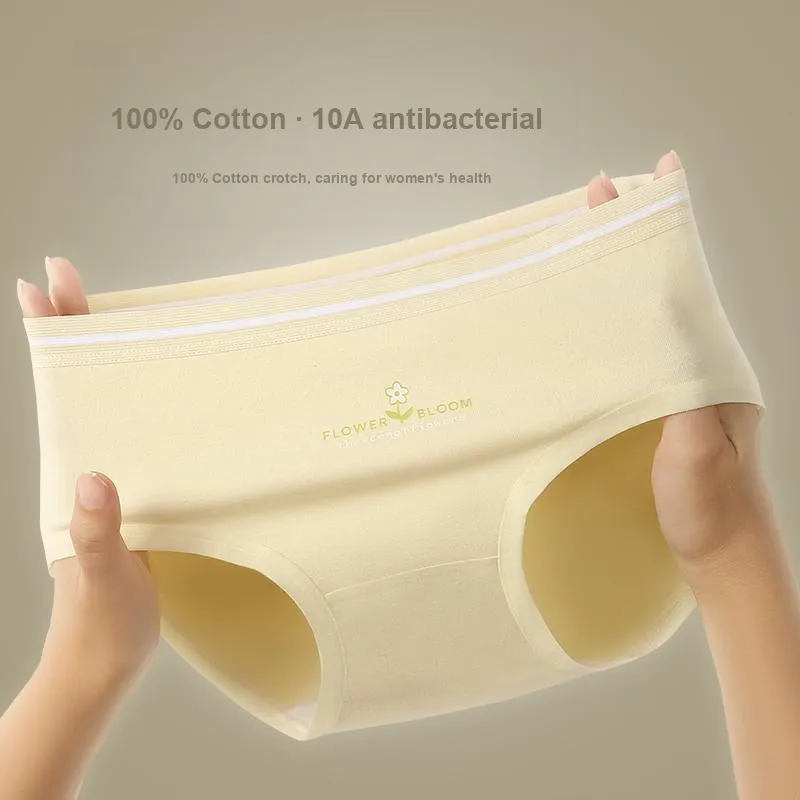 Lan Miao Underpants Women's Combo Set-2