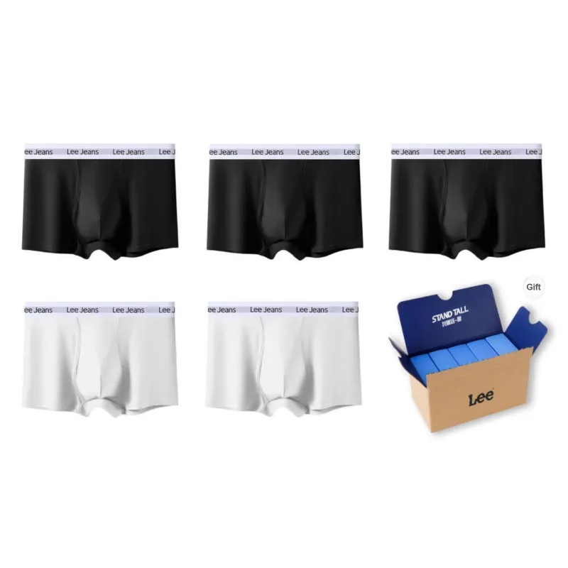 Lee Underpants Men's 5 Pack Gift Box Set-15