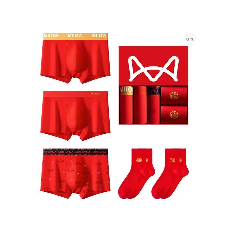 MIIOW Underwear Gift Box Men's 3 Pack+2 Pack Socks-12