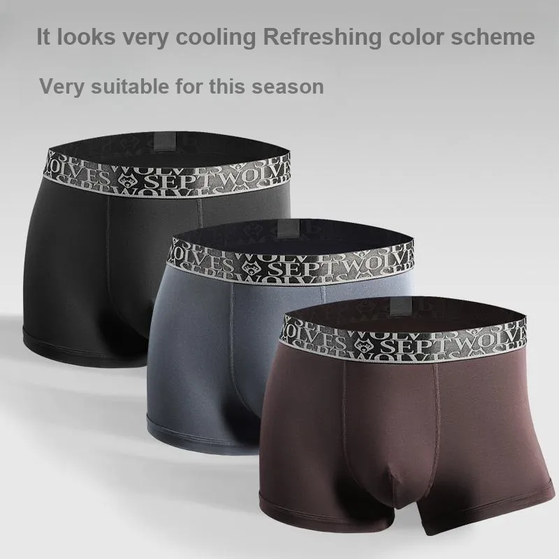 SEPTWOLVES Underpants Men's 3-Piece Gift Box Set-58