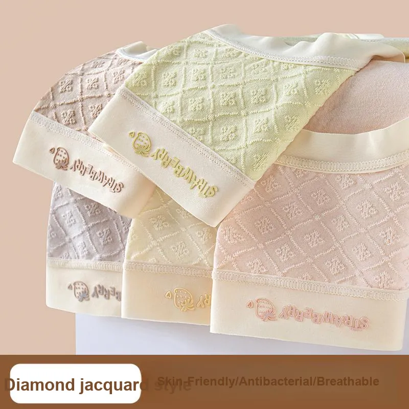 GRACEWELL Underpants Women's 3 Pack-6