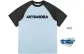 Light Blue Gray