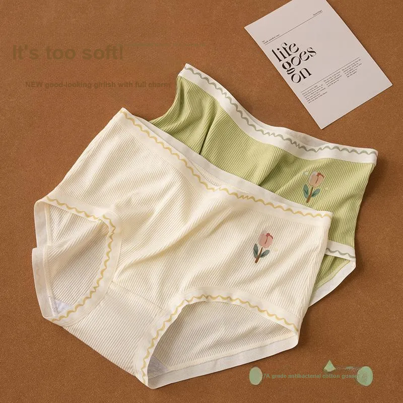 PLANDOO Underpants Women's 3 Pack-5