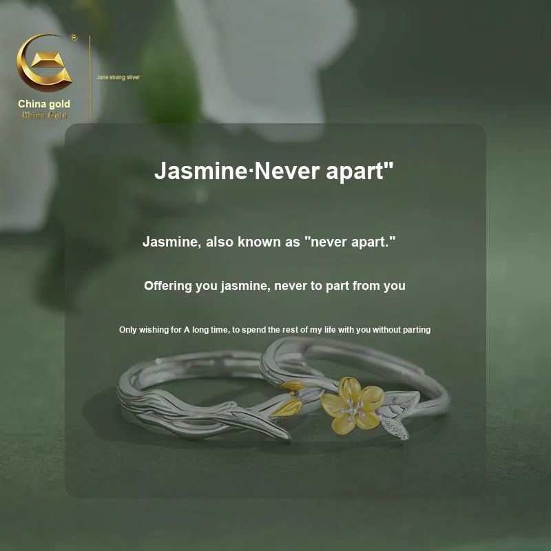 ZSY Silver 925 Ring Couple Rings Unisex-2