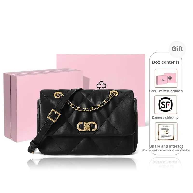 CASSILE Cow Leather Patchwork Synthetic Leather Shoulder Bag Chain Shoulder Bag Women's Multicolor-0