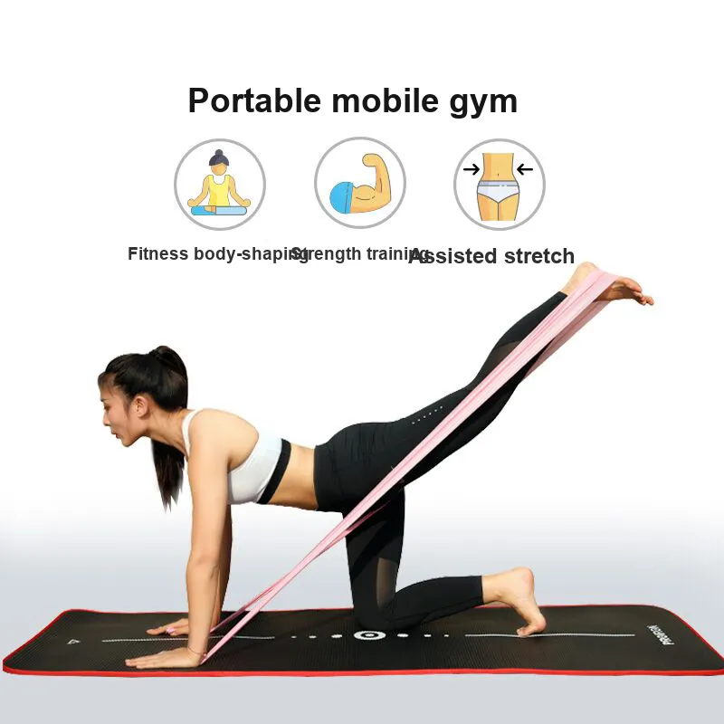 PROIRON Resistance Bands-4