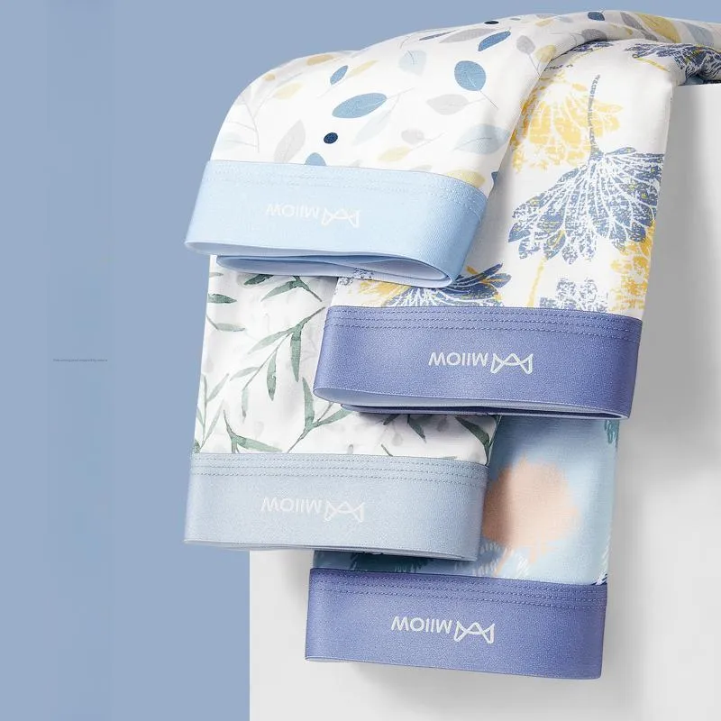 MIIOW Men Underpants-2