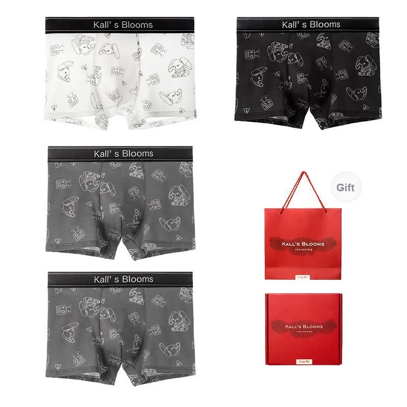 Maiden House Underwear Gift Box Men's Box 4 Pack-6